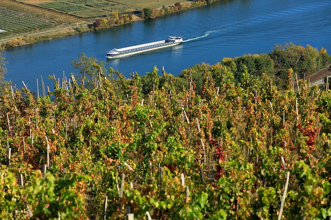 Frankreich, Ardeche, Andance, Weinberge und die Rhone (Luftaufnahme)