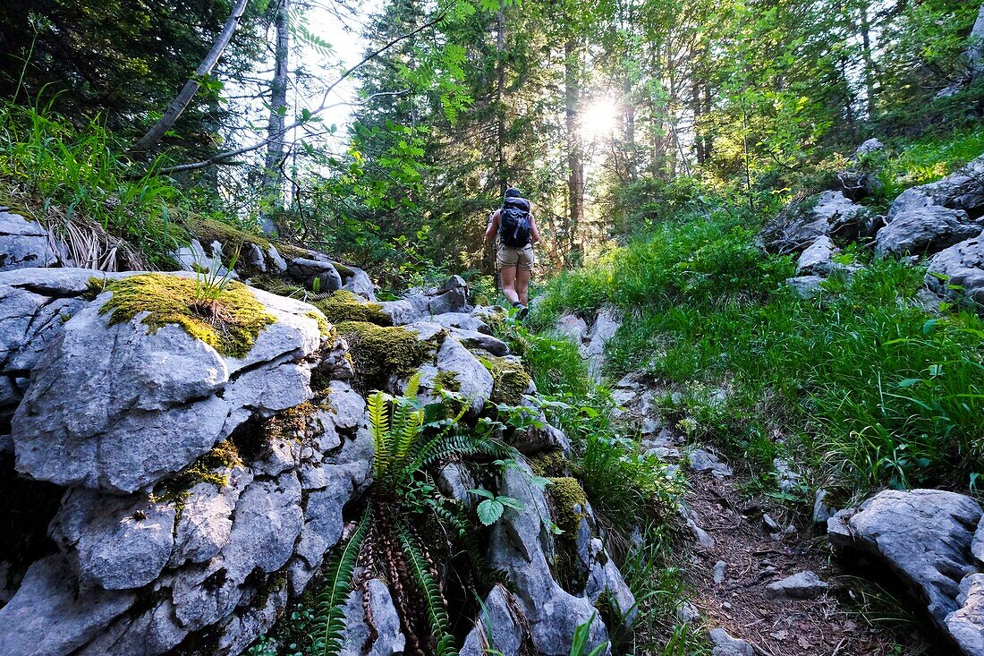 Frankreich, Haute Savoie, Le La Balme de Thuy, Wanderer auf dem Weg zum Tête Noire