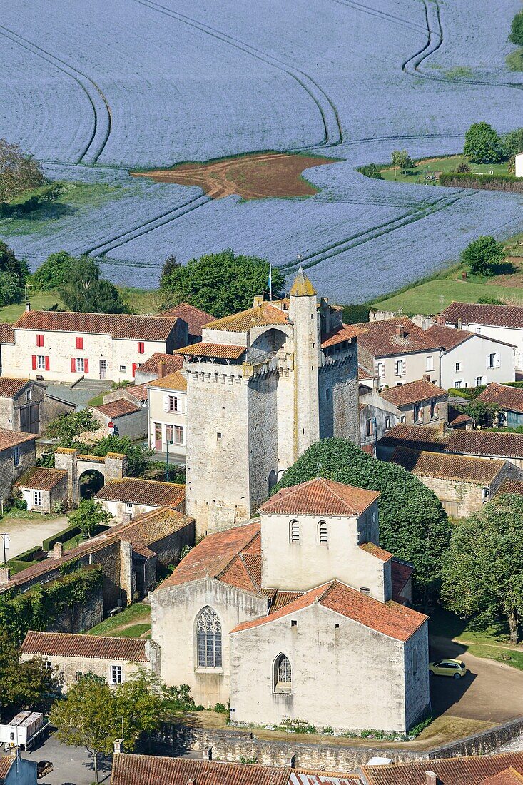 France, Vendee, Bazoges en Pareds, the donjon and the church before a linen field (aerial view)