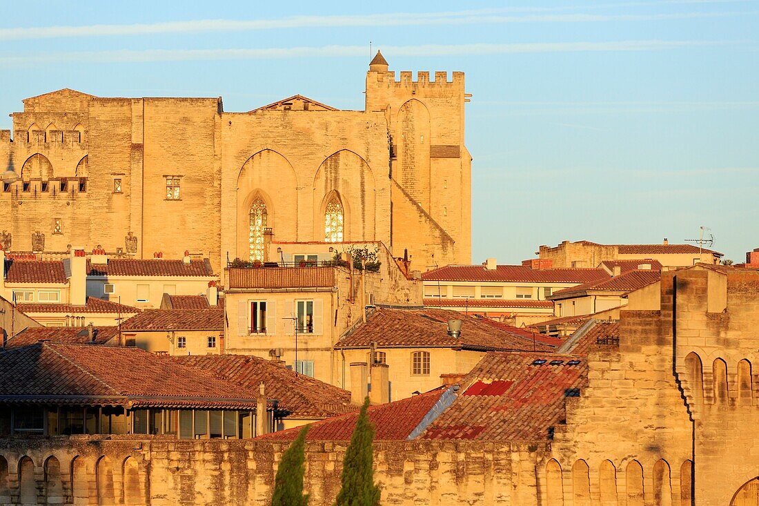 Frankreich, Vaucluse, Avignon, die Kathedrale der Doms (12. Jh.) und der Palast der Päpste (14. Jh.) gehören zum Weltkulturerbe der UNESCO