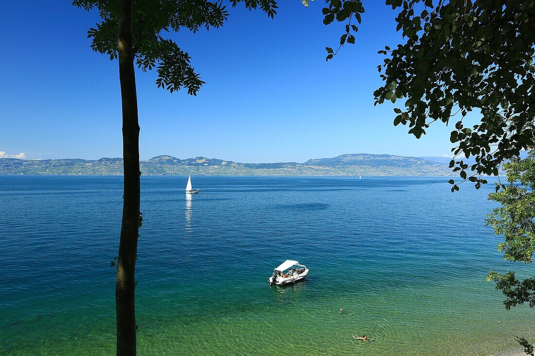 France, Haute Savoie, Lugrin, Chauffours beach, Lake Geneva