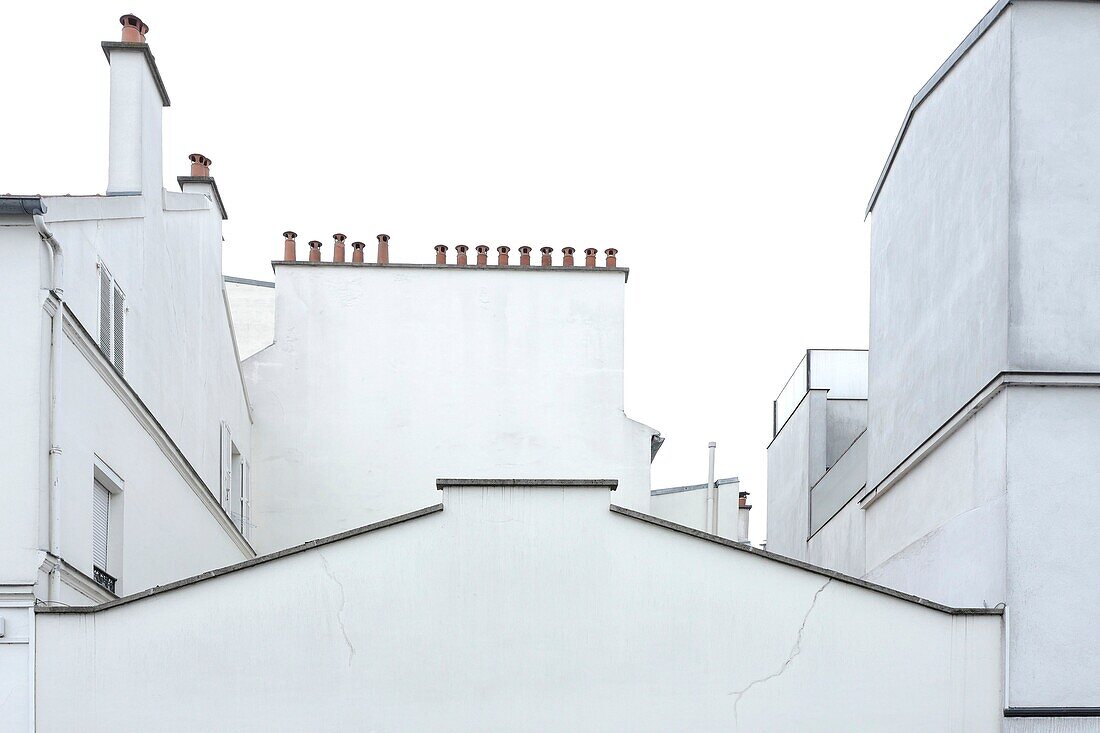 France, Val de Marne, Charenton le Pont, Suburban roofs