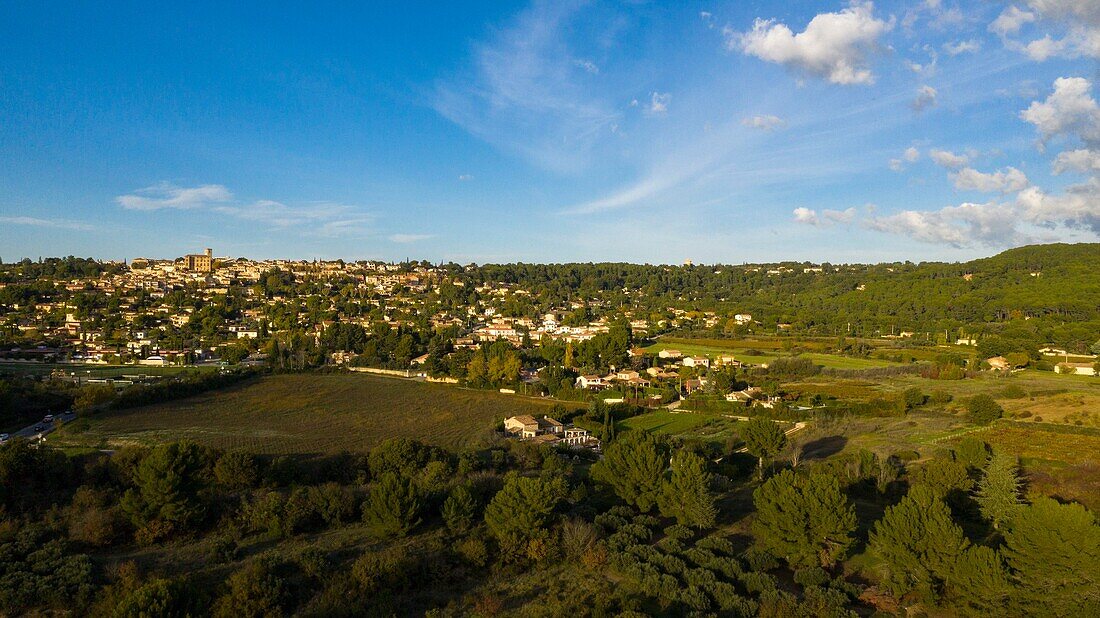 France, Bouches du Rhone, Eguilles (aerial view)