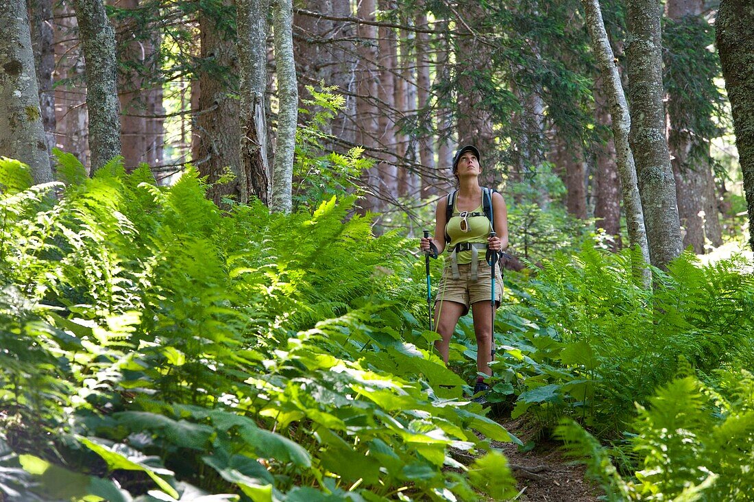 Frankreich, Haute Savoie, La Roche-sur-Foron, Wanderer in den Wäldern von Sales