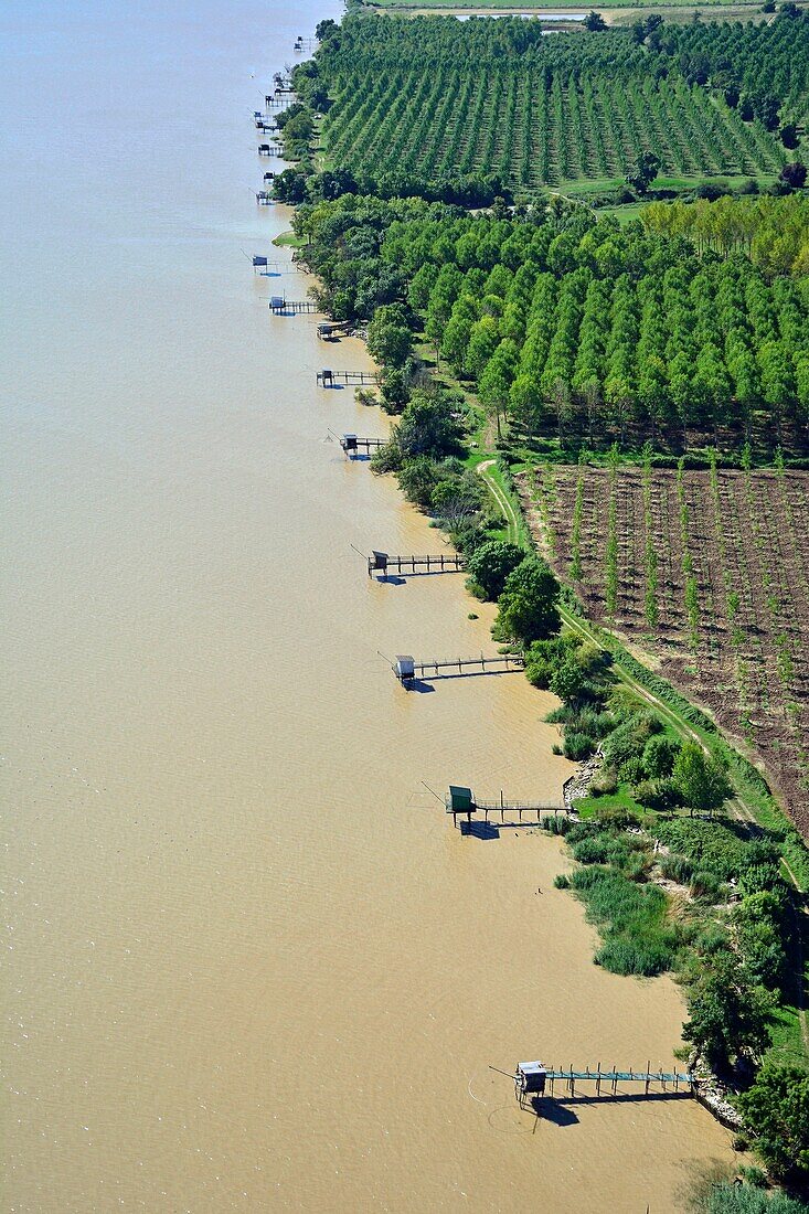 France, Gironde, Pauillac, carrelets on the Gironde estuary (aerial view)