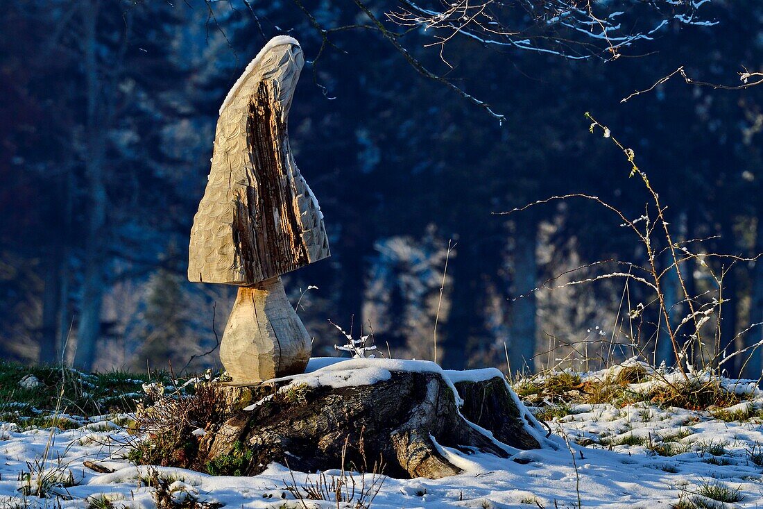 Frankreich, Doubs, in einen Baumstamm geschnitzte Pilze