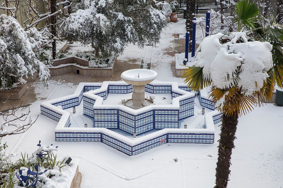 Frankreich, Hauts de Seine, Puteaux, Jardin du Sud, marokkanischer Garten im Winter