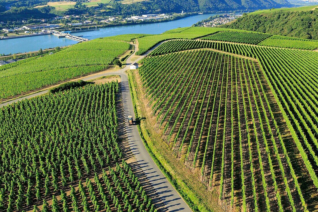 France, Rhone, Ampuis, AOC Cote Cote Rotie, Rhone, Central and Vaugris Lock in the background (aerial view)