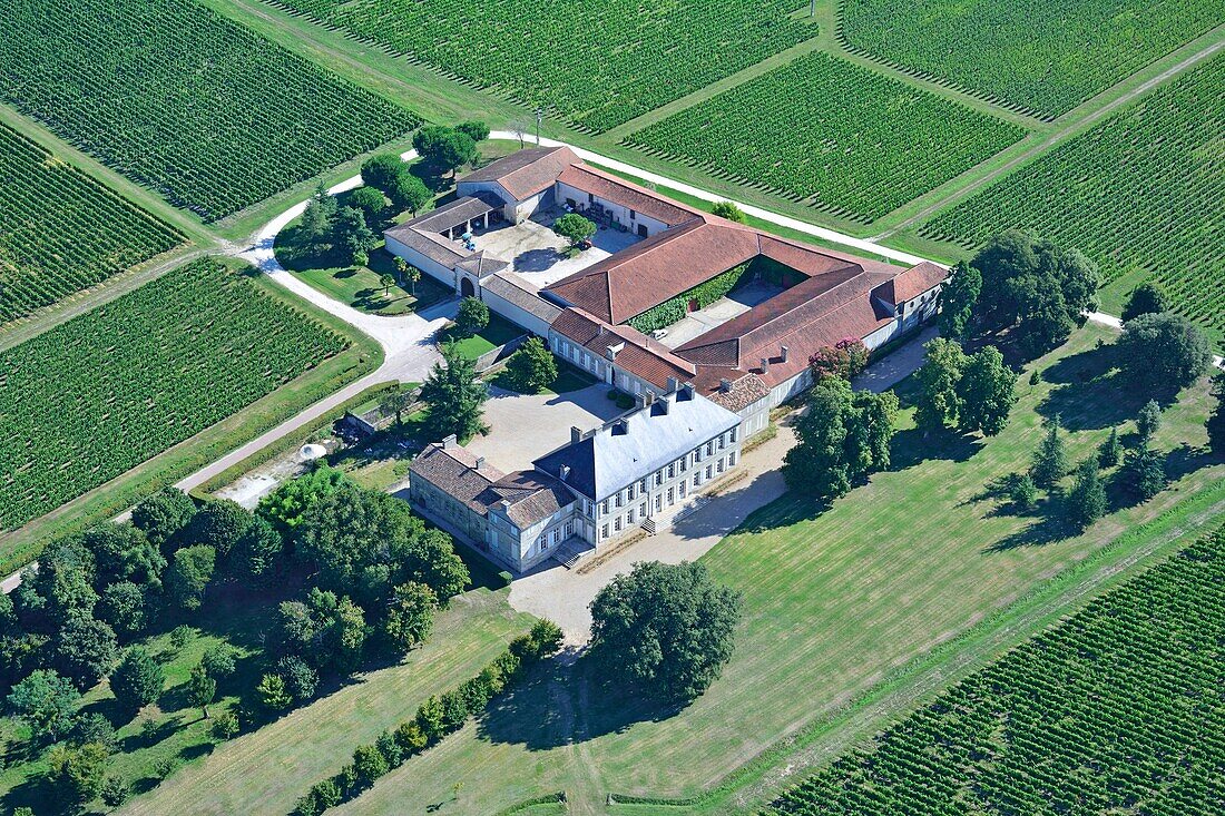 France, Gironde, estuary of the Gironde, Plassac, vineyard of Chateau de Barbe naming Cotes de Bourg (aerial view)