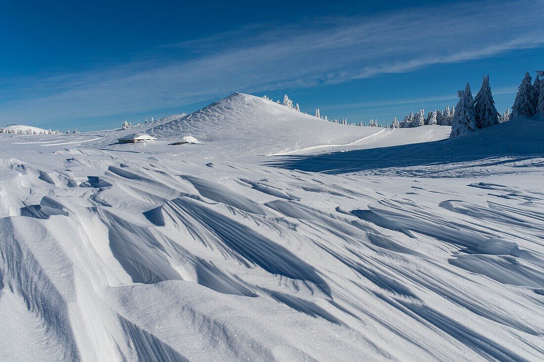 France, Haute Savoie, massive Bauges, above Annecy in border with the Savoie, the Semnoz plateau exceptional belvedere on the Northern Alps, snow landscape sculpted by the wind