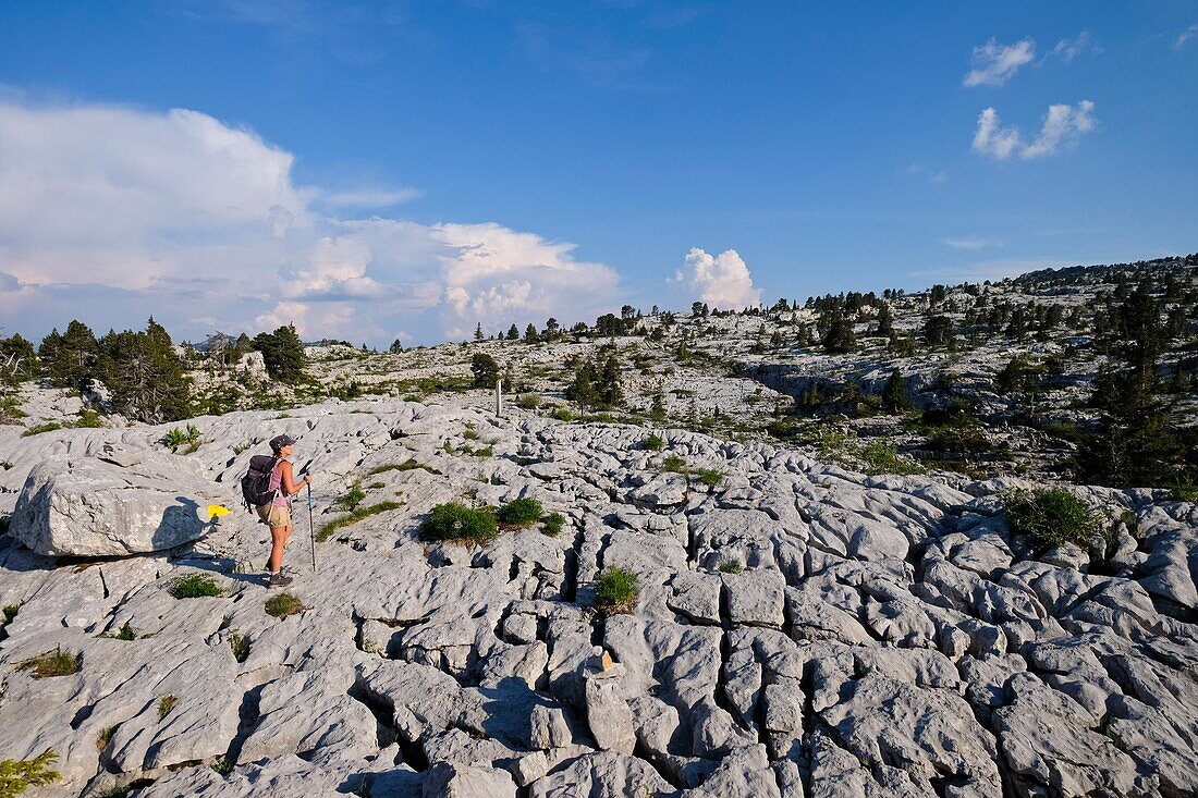 France, Haute Savoie, Dingy-Saint-Clair, karren on the Parmelan plateau