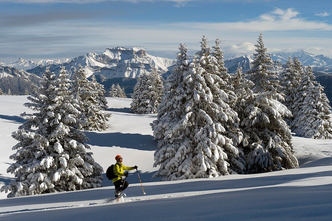 Frankreich, Haute Savoie, Massif des Bauges, Schneeschuhwandern auf der Hochebene von Semnoz oberhalb von Annecy und das Bornes-Massiv mit dem Tournette-Berg