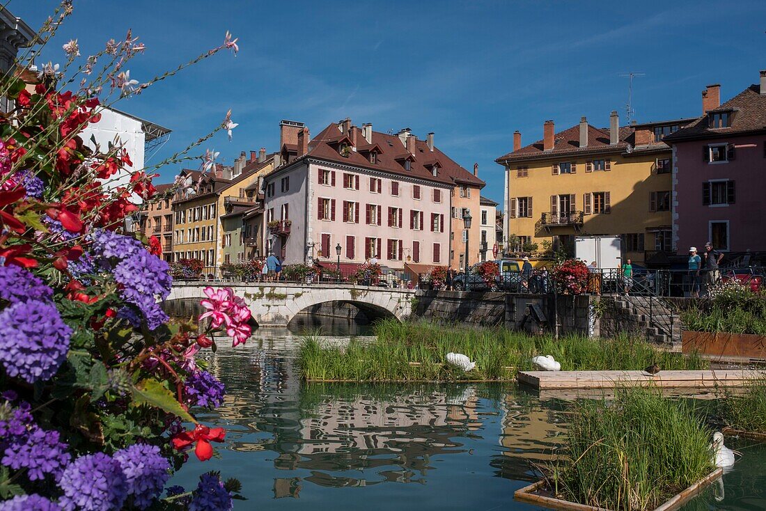 France, Haute Savoie, Annecy, the Thiou canal before the Perriere bridge and Saint François square