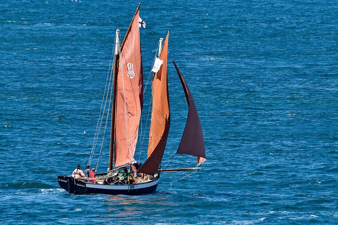 France, Cotes d'Armor, old rigging sailing along the pink granite coast