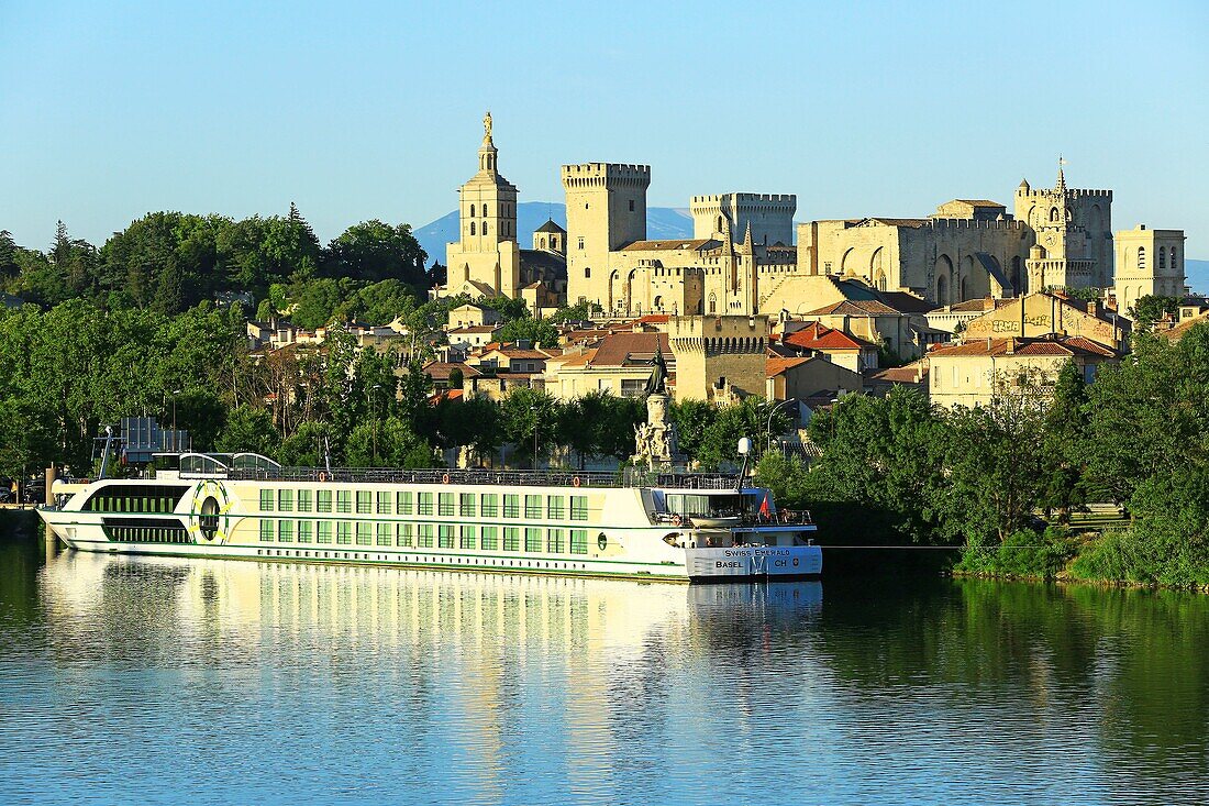 France, Vaucluse, Avignon, the Cathedral of the Doms (12th century) and the Palais of the Popes (14th) listed as World Heritage by UNESCO, river stop, cruise ship on the Rhone