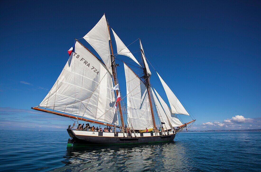 France, Finistere, Douarnenez, Festival Maritime Temps Fête, La Recouvrance, traditional sailboat on the port of Rosmeur