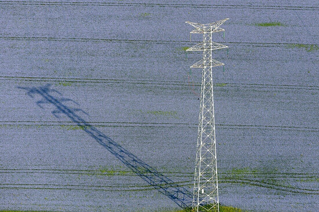 France, Vendee, Xanton Chassenon, transmission tower in a linen field (aerial view)