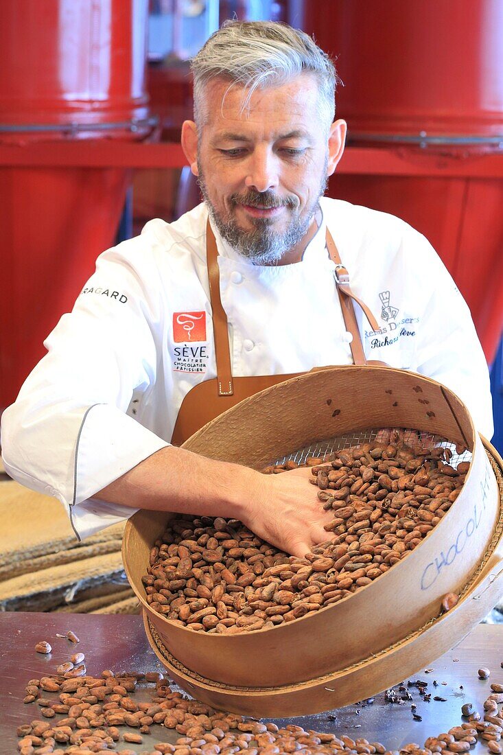 Frankreich, Rhone, Lyon, Limonest, MUSCO (Manufaktur Seve und Boutique-Museum), Richard Seve, Chocolatier-Meister, der Kakaobohnen prüft