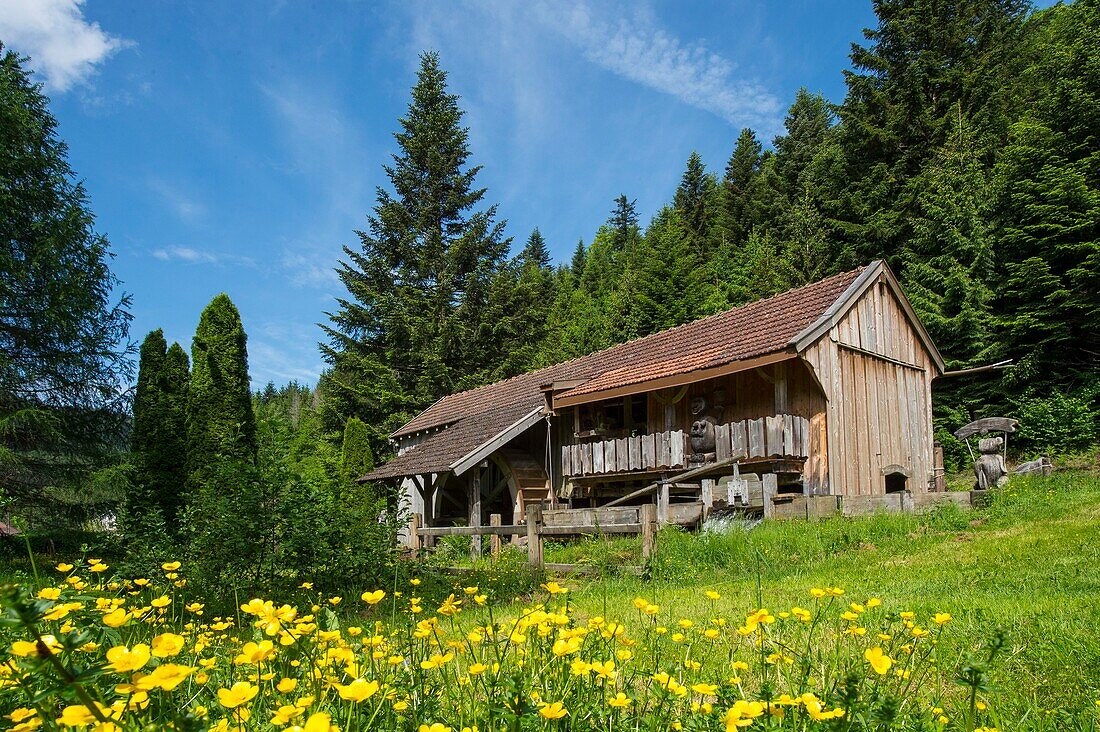 France, Haute Saone, Melisey, les milles etangs, the traditional Martin sawmill on the river Dou de l'Eau between Servance and Miellin