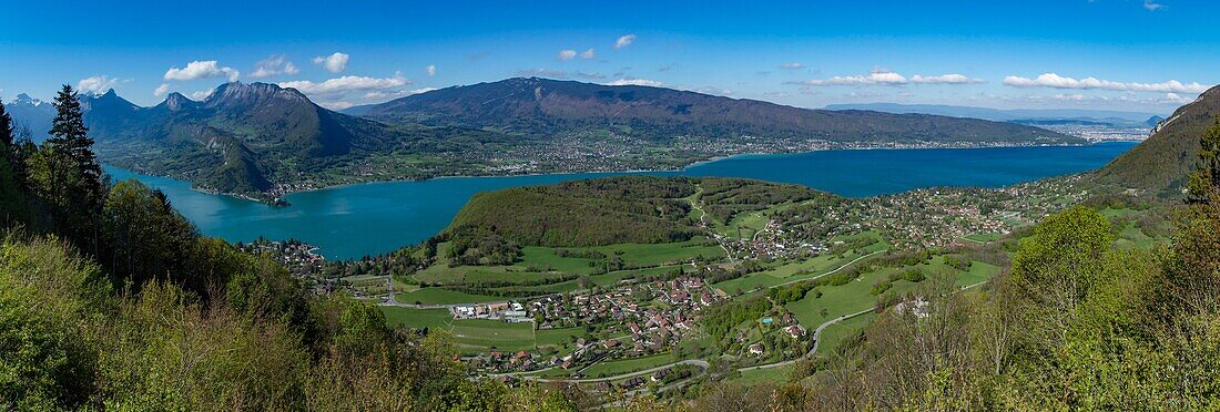 France, Haute Savoie, Lake Annecy, Talloires, the bay and the massif of Bauges seen by the site of Planfait