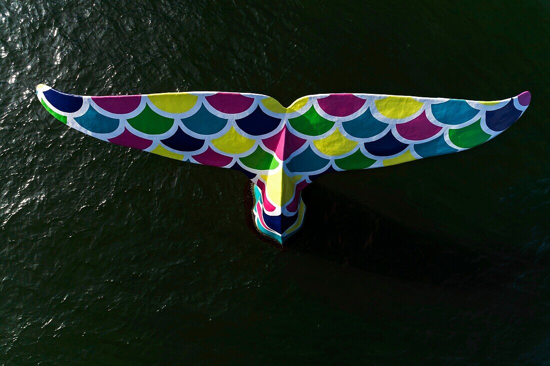 France, Gironde, Bassin d'Arcachon, Arcachon, the whale tail, a realistic and life-sized sculpture of the artist Emmanuel Janssens Casteels (aerial view)