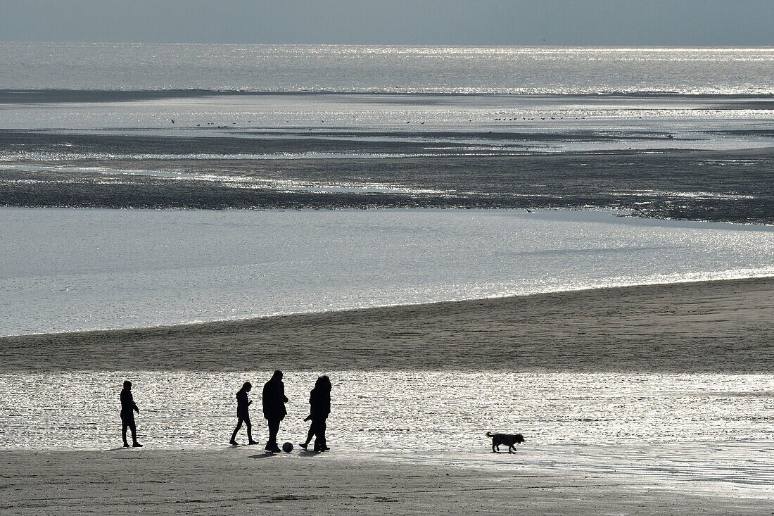 France, Somme, Baie de Somme, tourists and their dog walking on the beach at low tide