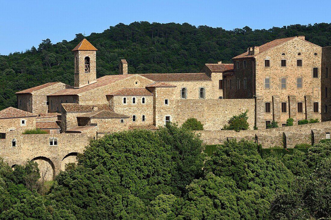 France, Var, Massif des Maures, Collobrieres, chartreuse de la Verne