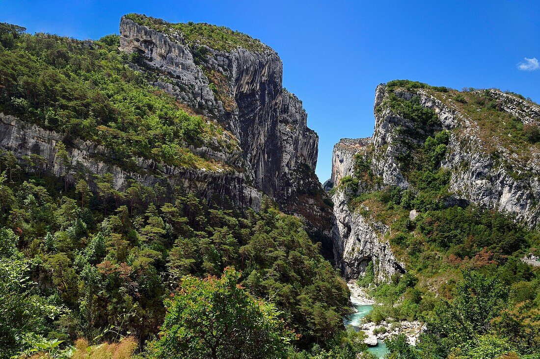 France, Alpes de Haute Provence, Parc Naturel Regional du Verdon, Rougon, Grand Canyon of Verdon in the corridor Samson and the beginning of the trail sentier Blanc Martel on the GR4