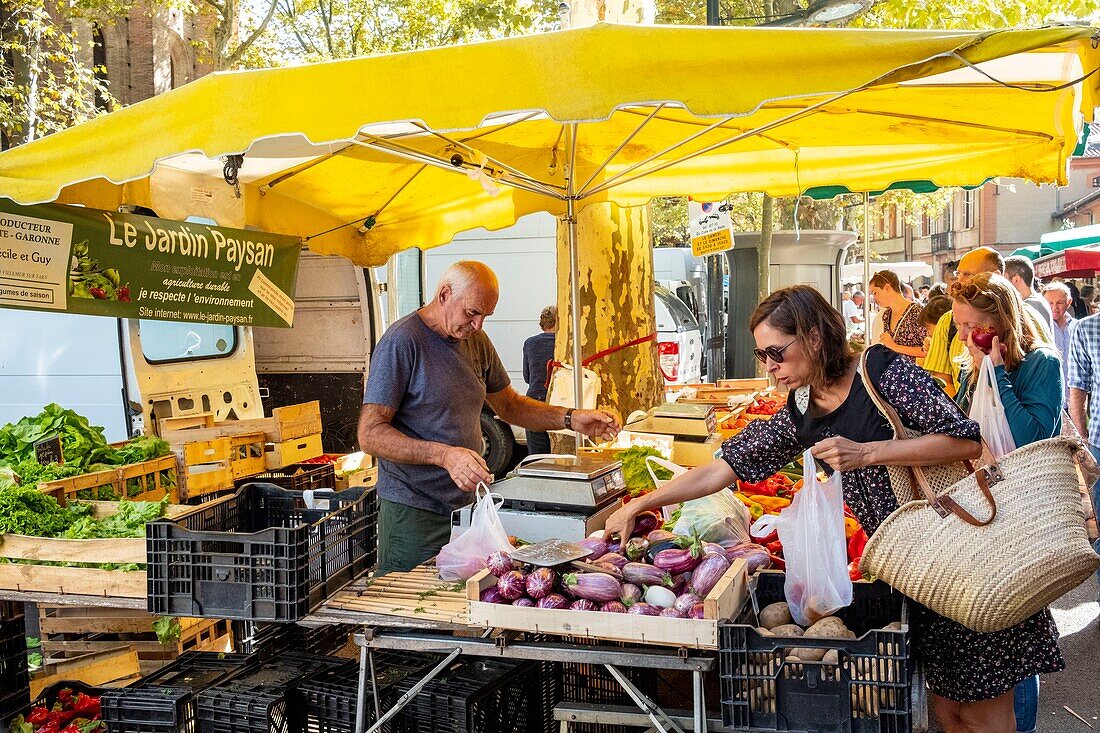 France, Haute Garonne, Toulouse, the Saint Aubin church market