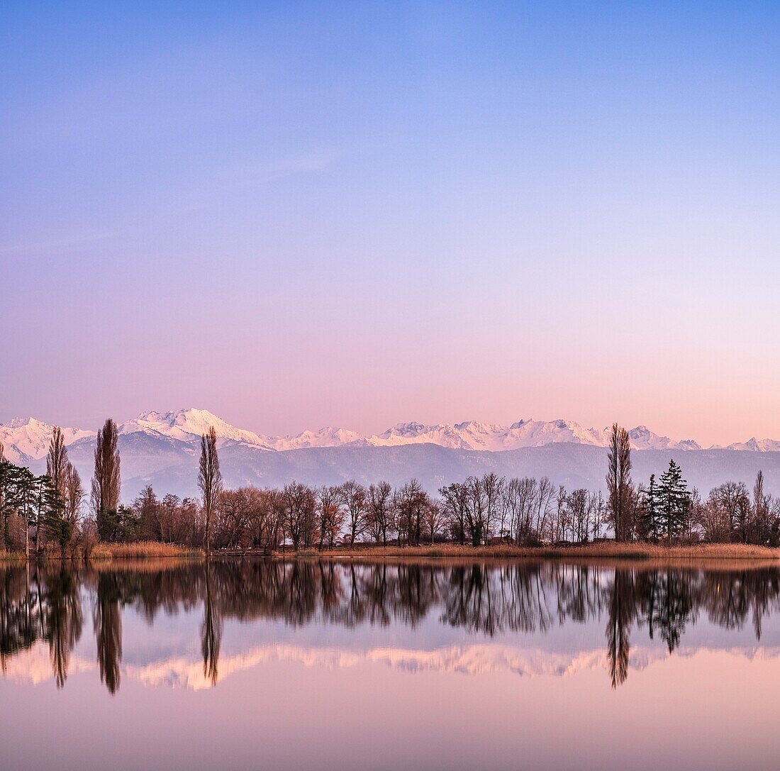 Frankreich, Savoyen, Les Marches, der See Saint André inmitten der Weinberge der Combe de Savoie, im Hintergrund die schneebedeckte Belledonne-Kette