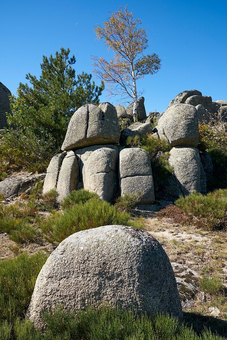 Frankreich, Lozere, Runes, granitisches Chaos an der Nebenstraße D3