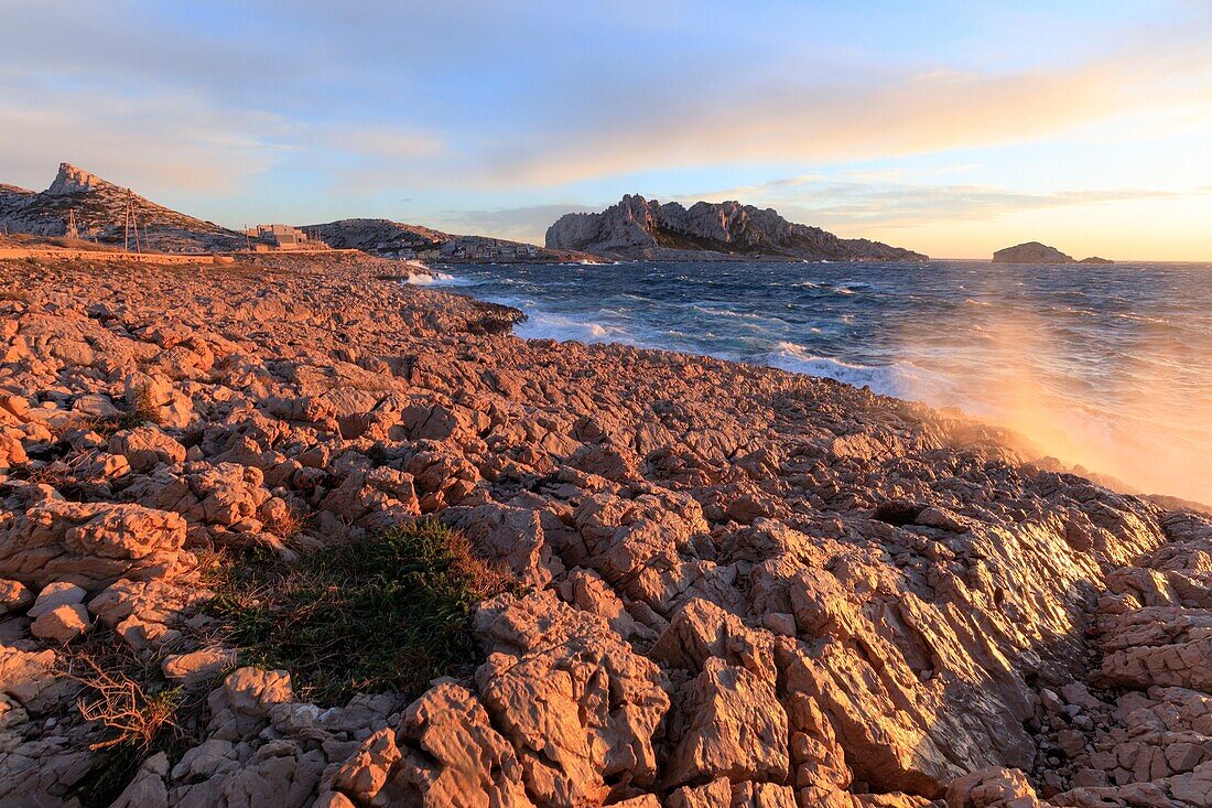 France, Bouches du Rhone, Calanques National Park, Marseille, 8th district, Les Goudes district, Chemin des Goudes, Mistral, the Maire island and the island of Tiboulen de Maïre ??in the background