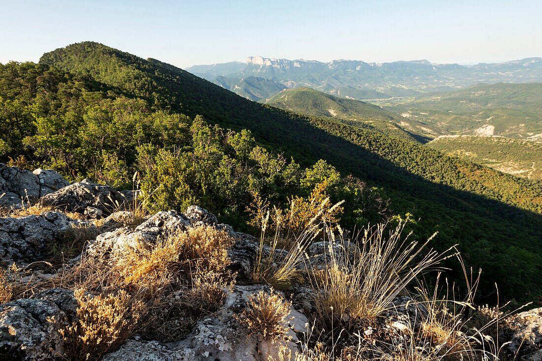 France, Drome, Vercors, Diois, Saillans, wildlife reserve of Grand Barry, summit ridge