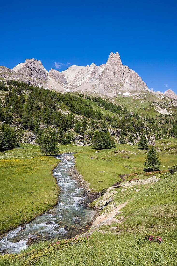 France, Hautes Alpes, Nevache, La Claree valley, la Claree river with in the background the massif of Cerces (3093m) and the peaks of the Main de Crepin (2942m)