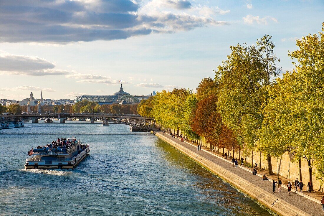Frankreich, Paris, Seine-Ufer, von der UNESCO zum Weltkulturerbe erklärt, ein Flugboot und der Grand Palais am Grund