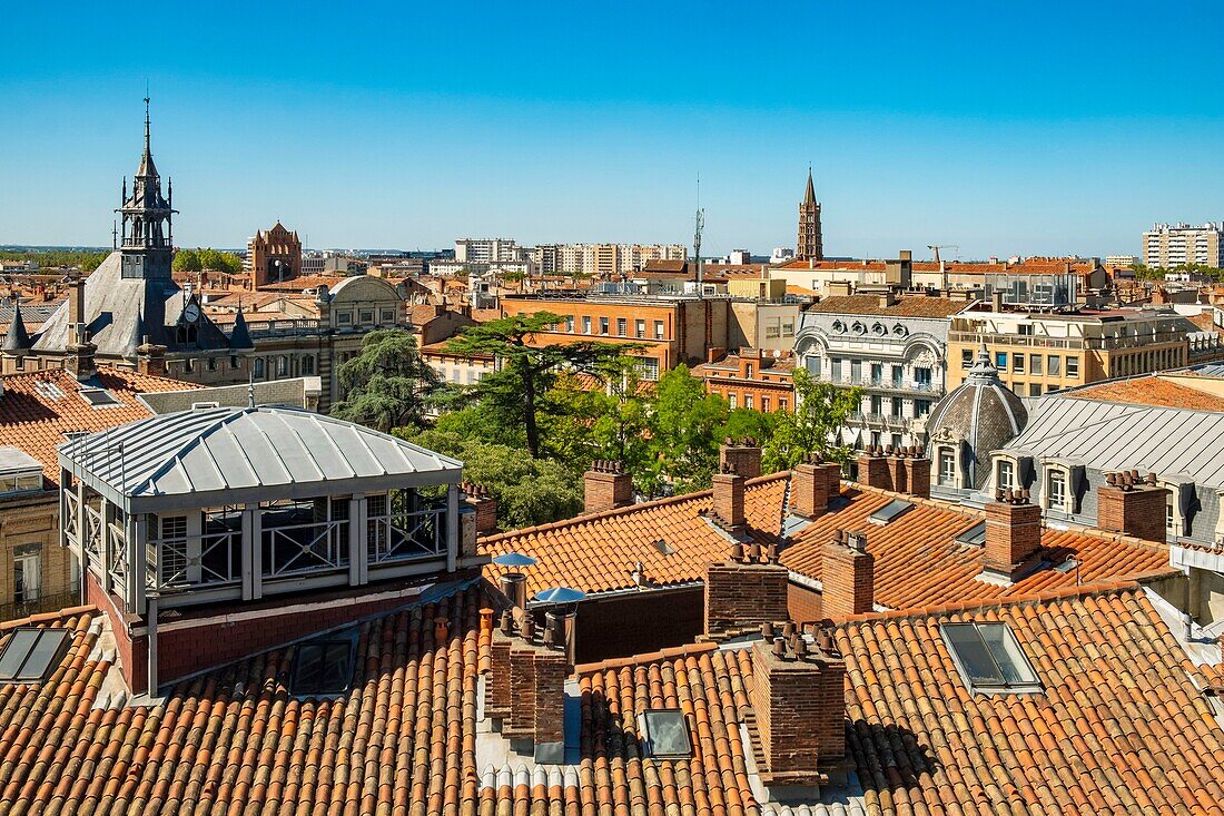 France, Haute Garonne, Toulouse, the roofs of the old town