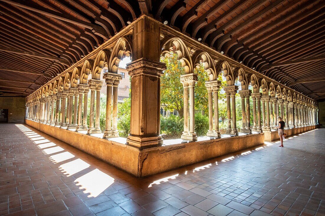 France, Haute Garonne, Toulouse, Musee des Augustins created in 1793 in the former Augustinian convent of Toulouse, the cloister