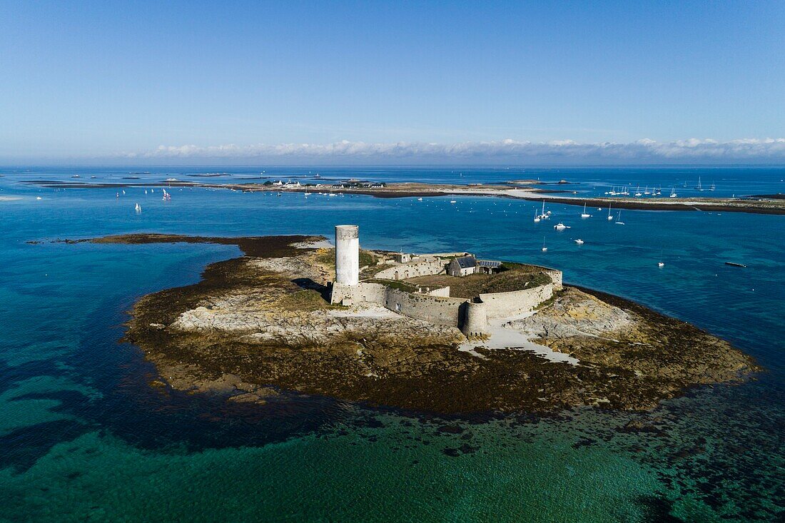 Europe, France, Finistere, Glenan Archipelago, Stork Island, Strong stork (aerial view)