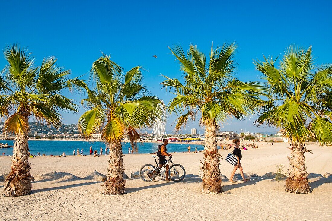 France, Bouches du Rhone, Marseille, Prado beaches, Bonneveine beach