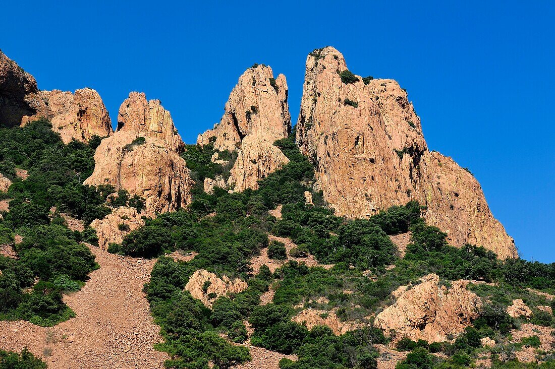 Frankreich, Var, Gebiet von Agay in der Nähe von Saint Raphael, Esterel-Massiv, Massiv des Cap Roux