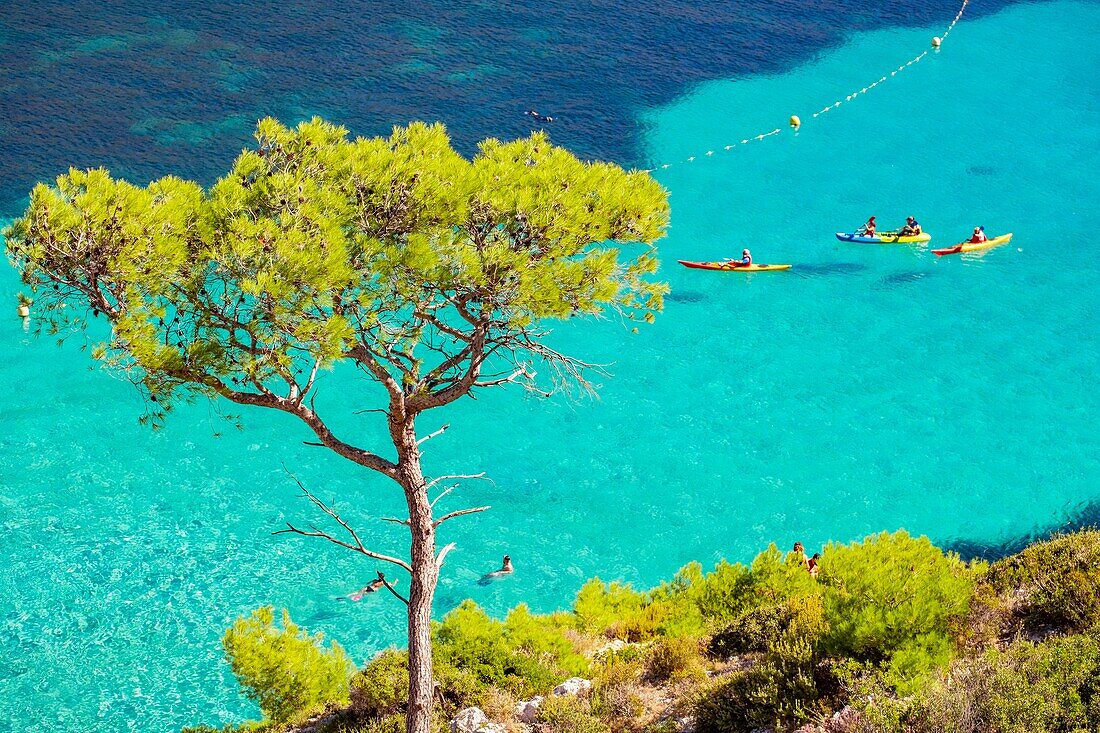 France, Bouches du Rhone, Marseille, Calanque of Sormiou, Calanques National Park