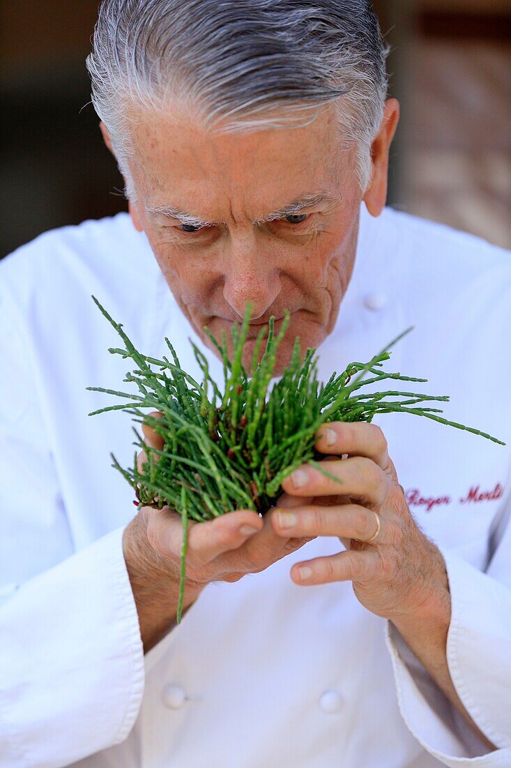 France, Bouches du Rhone, Camargue Regional Nature Park, Saintes Maries de La Mer, Mas du Col Vert, Chef Roger Merlin, Salicorne