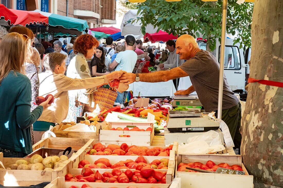 France, Haute Garonne, Toulouse, the Saint Aubin church market