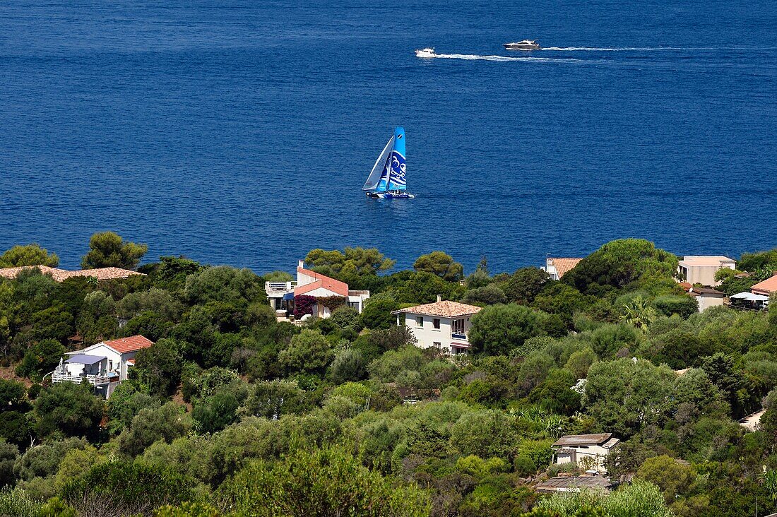 Frankreich, Var, Iles d'Hyeres, Parc national de Port Cros (Nationalpark von Port Cros), Insel Le Levant, FKK-Bereich von Heliopolis