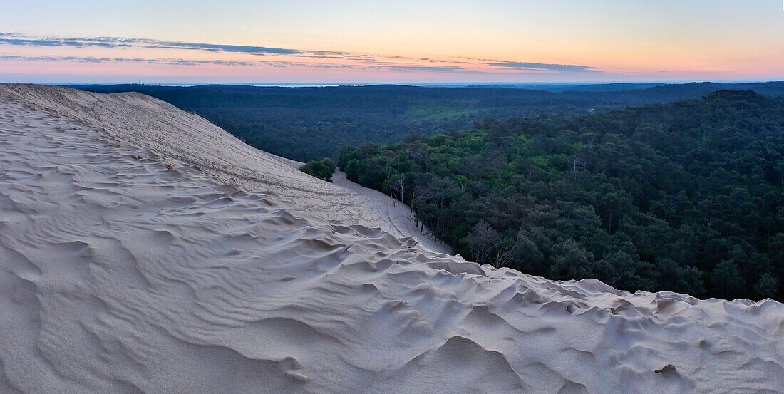 France, Gironde, Pyla-sur-Mer, La Teste de Buch, listed as Grand Site, view of the dune of the pilat at sunrise