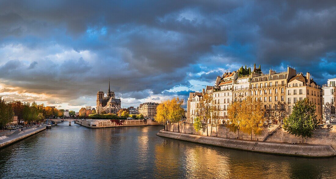 France, Paris, the banks of the Seine river listed as World Heritage by UNESCO, quai d'Orléans on Ile Saint-Louis and Notre-Dame cathedral on the Ile de la Cité