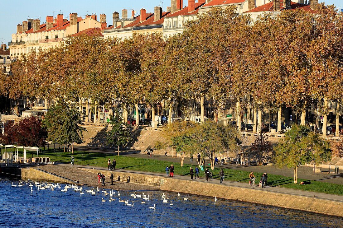 France, Rhône, Lyon, 3rd district, La Guillotière district, Victor Augagneur quay, a UNESCO World Heritage Site