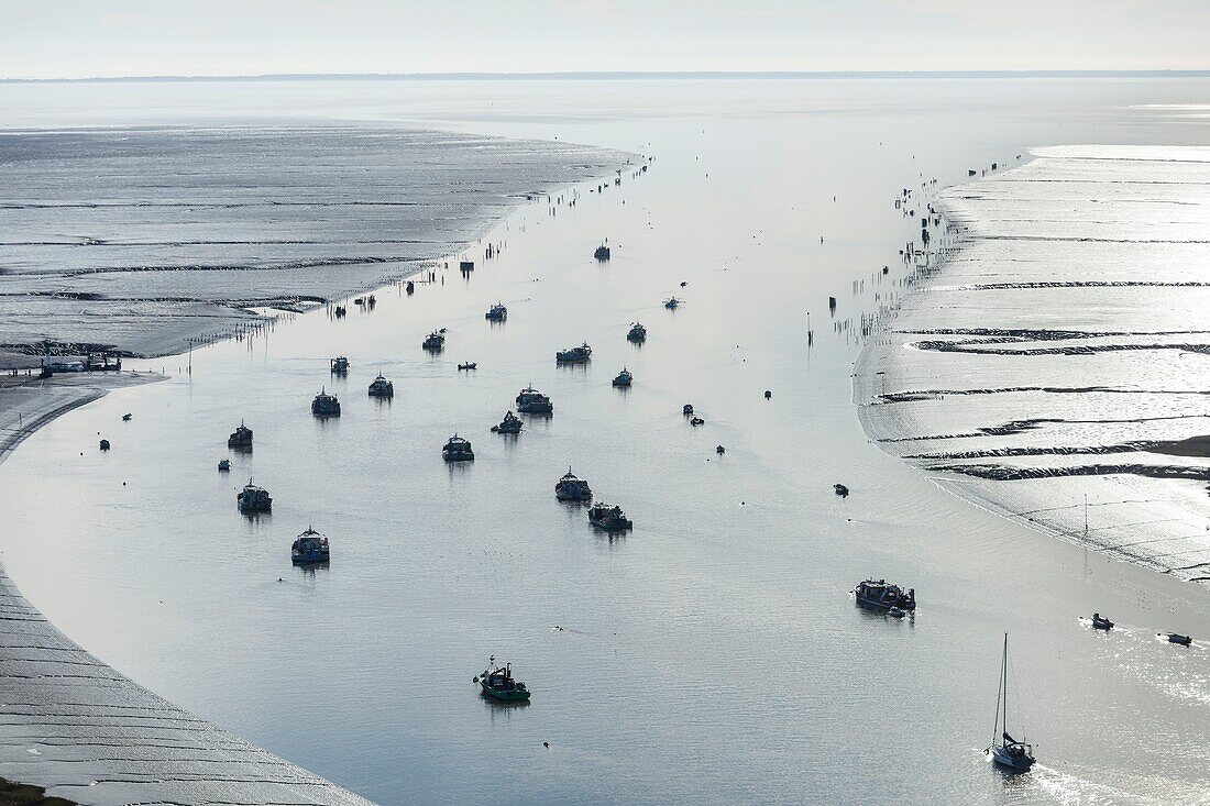 France, Charente Maritime, Charron, mussels boats in the Sevre Niortaise estuary (aerial view)