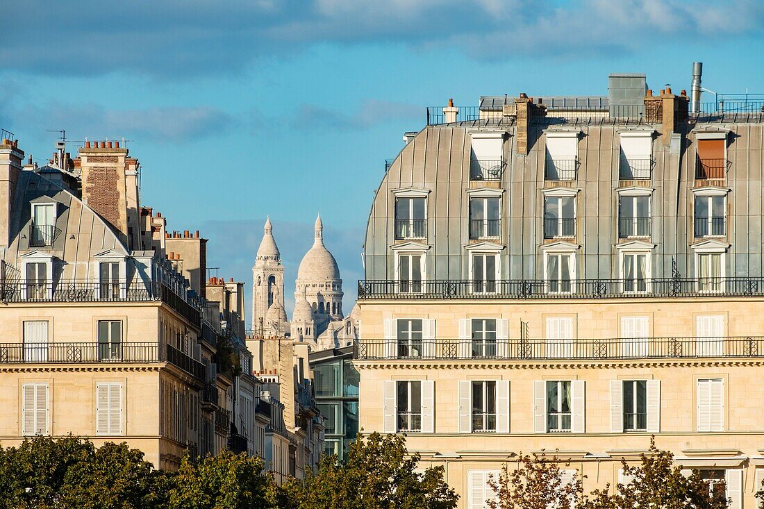 France, Paris, Haussmann buildings rue de Rivoli and the Sacre Coeur