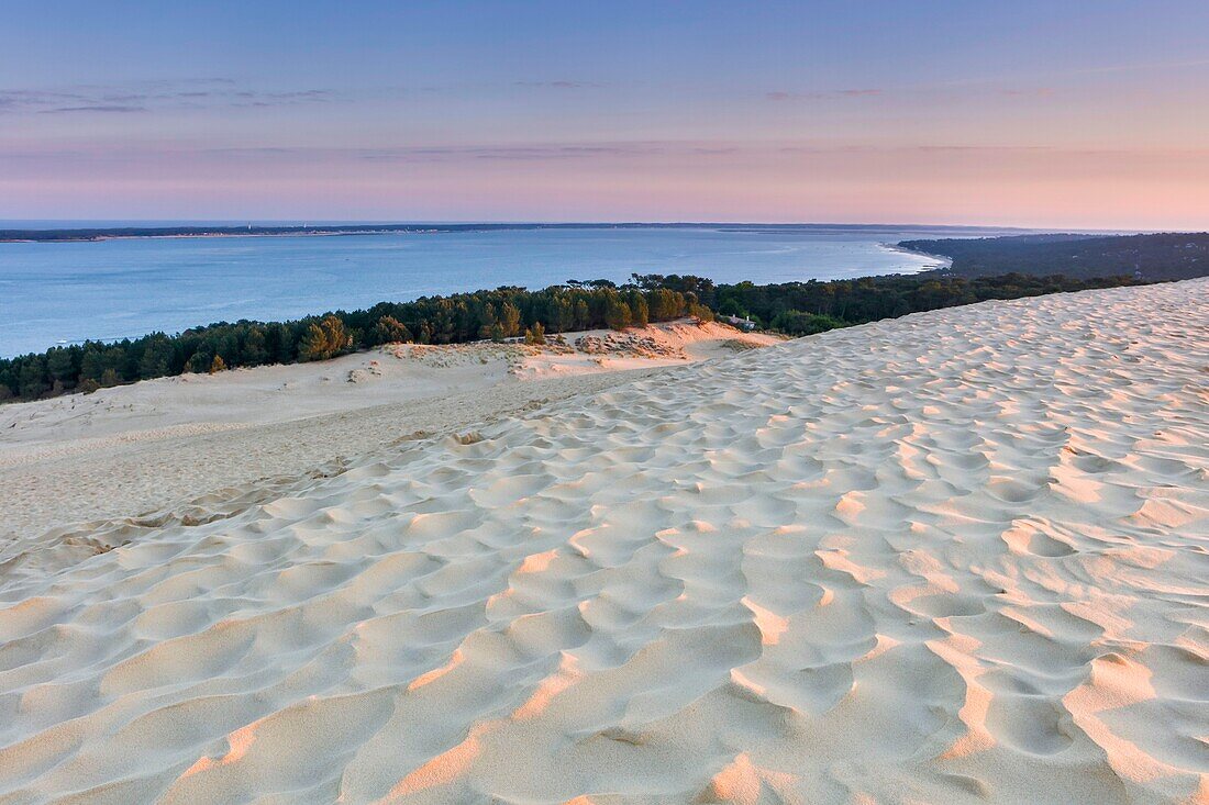 France, Gironde, Pyla-sur-Mer, La Teste de Buch, listed as Grand Site, view of the dune of the pilat at sunrise